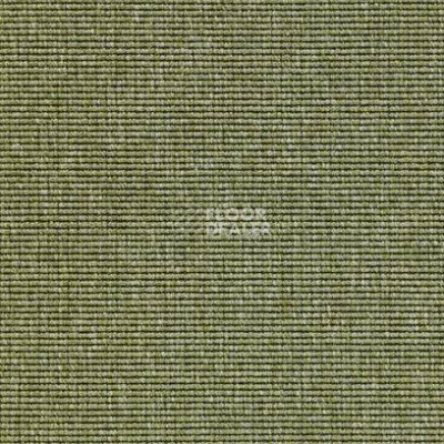 Ковролин Carpet Concept Eco 1 6635 фото 1 | FLOORDEALER
