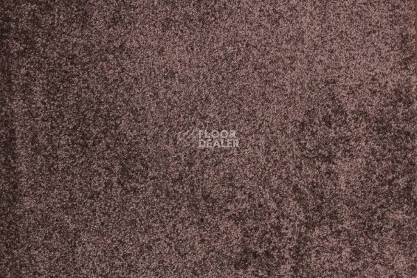 Ковролин Betap Tardi 97 фото 1 | FLOORDEALER