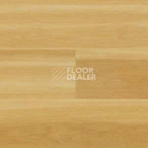 Линолеум Polyflor Expona Wood 6115 фото 1 | FLOORDEALER