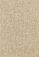 Ковролин AW Miriade 33 фото 1 | FLOORDEALER