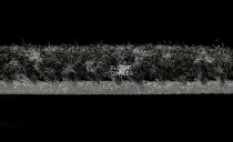 Forbo Coral Classic 4730 raven black фото 3 | FLOORDEALER