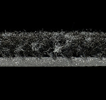 Forbo Coral Classic 4730 raven black фото 3 | FLOORDEALER