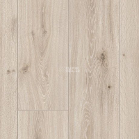 Parador Trendtime 6 1473985 Дуб Кастель Белый Лакированный фото 2 | FLOORDEALER