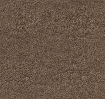 Ковролин Finett Feinwerk 403506 фото 1 | FLOORDEALER