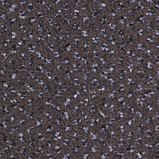 Ковролин Balsan Signature 790 фото 1 | FLOORDEALER