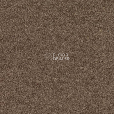 Ковролин Finett Feinwerk 403506 фото 1 | FLOORDEALER