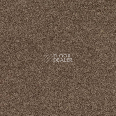 Ковролин Finett Feinwerk 403506 фото 1 | FLOORDEALER