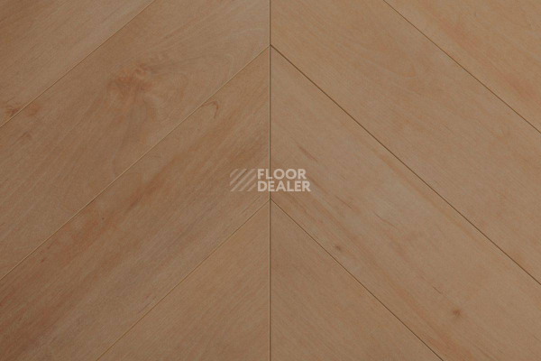 Ламинат Biela Cbm Ostrost 507 A / C  Дуб Тепла фото 1 | FLOORDEALER