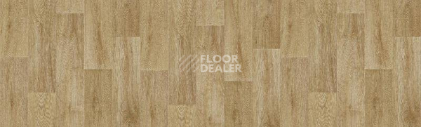 Линолеум Tarkett Fresh TONIC2 фото 1 | FLOORDEALER