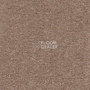 Ковролин AW Vivendi Vibes 38 фото 1 | FLOORDEALER