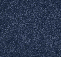 Ковролин AW Masquerade Isotta 73 фото 1 | FLOORDEALER