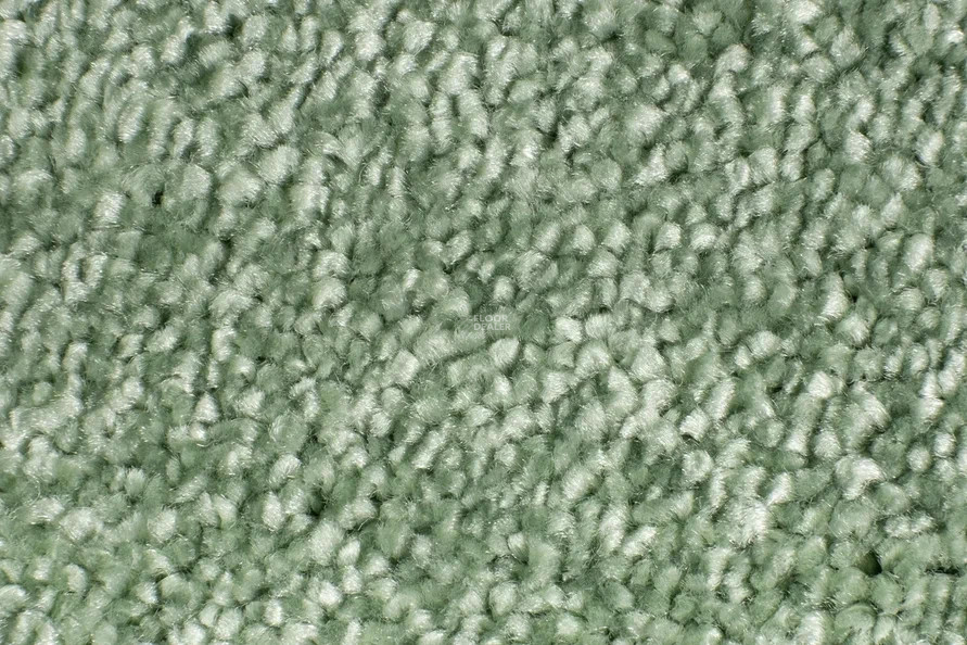 AW Spiritus 27 фото 3 | FLOORDEALER