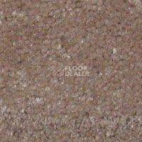 Ковролин Hidden Treasure Beaulie of America Mocha Creme фото 1 | FLOORDEALER