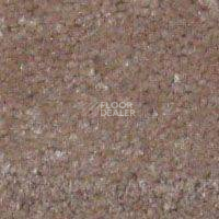 Ковролин Hidden Treasure Beaulie of America Mocha Creme фото 1 | FLOORDEALER