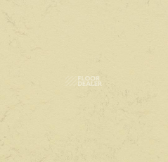 Кварцвиниловые полы Marmoleum Modular Shade 3722 фото 1 | FLOORDEALER