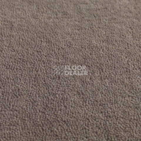 Ковролин Jacaranda Carpets Jaspur Heron фото 1 | FLOORDEALER