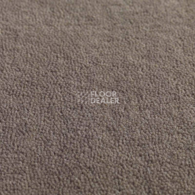 Ковролин Jacaranda Carpets Jaspur Heron фото 1 | FLOORDEALER