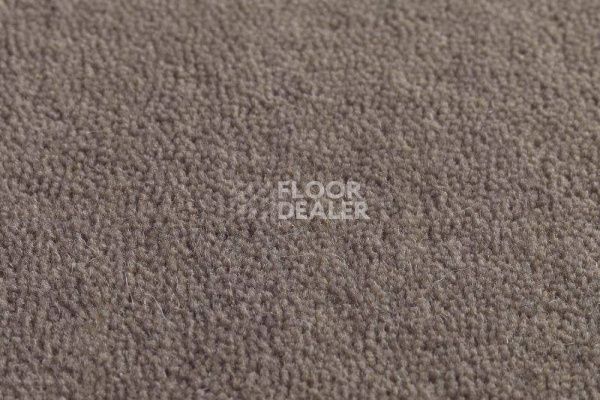 Ковролин Jacaranda Carpets Jaspur Heron фото 1 | FLOORDEALER