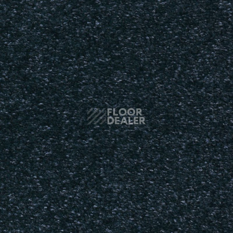 Ковролин AW Masquerade Costanza 78 фото 1 | FLOORDEALER