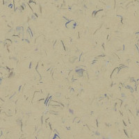 Линолеум Lg Unite UTE1013 фото 1 | FLOORDEALER