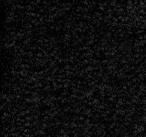 Emphatic Beaulieu of America