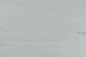 Линолеум Lino Fatra Garis 203 фото  | FLOORDEALER