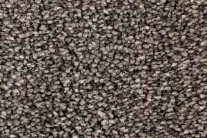 Ковролин Edel Wild Romance 259 фото  | FLOORDEALER