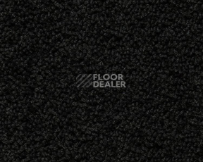 Ковролин Best Wool Pure Palace Lux 179 фото 1 | FLOORDEALER