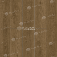 Кварцвиниловые полы Alpine Floor Solo Plus 4мм Дуб Аллегро ECO14-101 фото 1 | FLOORDEALER