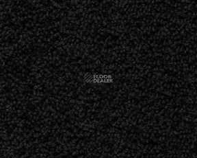 Best Wool Pure Palace Lux 179 фото 1 | FLOORDEALER