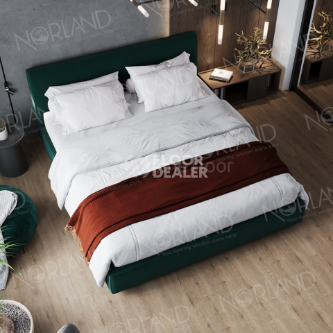 Norland Sigrid Superior 8мм Dor 1008-3 ABA фото 3 | FLOORDEALER
