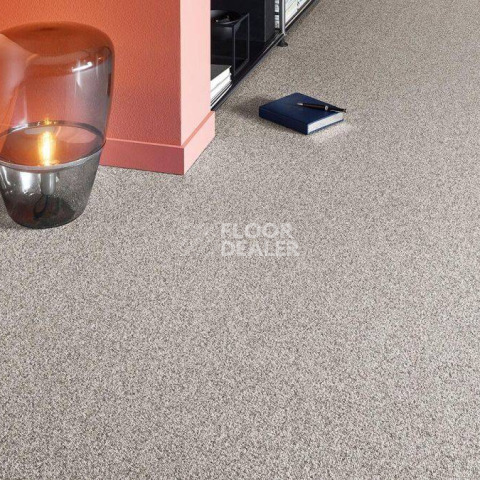 Vorwerk Essential 1074/Parma Vorwerk 8j86 фото 2 | FLOORDEALER