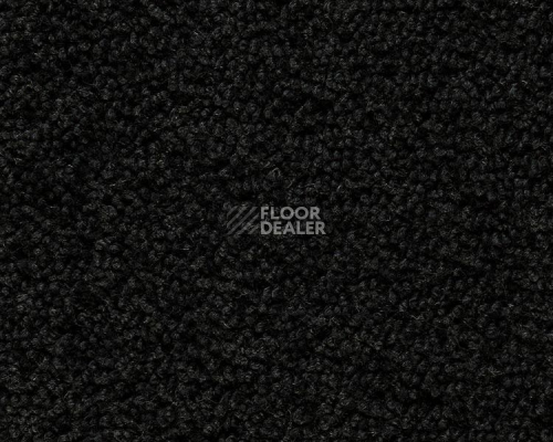 Ковролин Best Wool Pure Palace Lux 179 фото 1 | FLOORDEALER