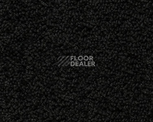 Ковролин Best Wool Pure Palace Lux 179 фото 1 | FLOORDEALER