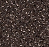 Ковролин Infloor Cayenne 771 фото 1 | FLOORDEALER