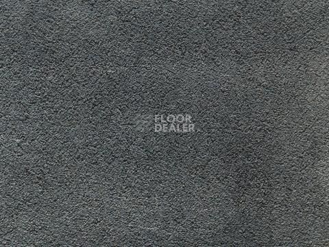Ковролин In-Tense 98 фото 1 | FLOORDEALER