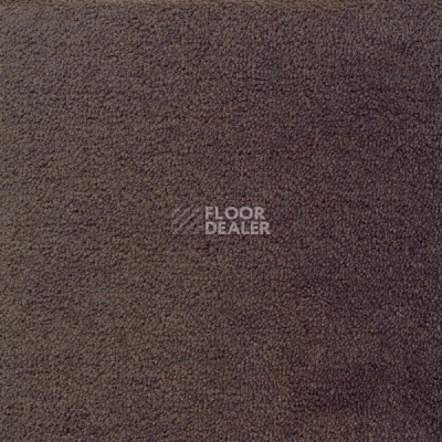 Ковролин Sintelon Eden 11730 фото 1 | FLOORDEALER