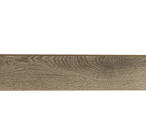 Bohofloor Forest 12мм ДУБ БОЛОНСКИЙ 3004 фото 6 | FLOORDEALER