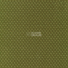 Ковролин Sintelon Podium 59613 фото 1 | FLOORDEALER