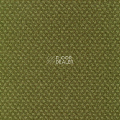 Ковролин Sintelon Podium 59613 фото 1 | FLOORDEALER