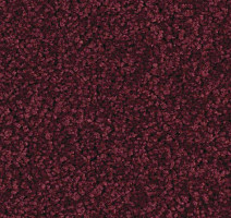 Ковролин Balsan Serenite 590 фото 1 | FLOORDEALER