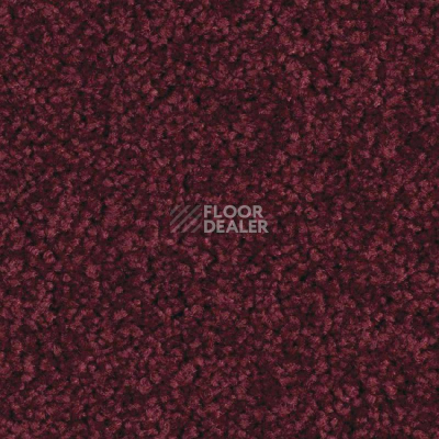 Ковролин Balsan Serenite 590 фото 1 | FLOORDEALER