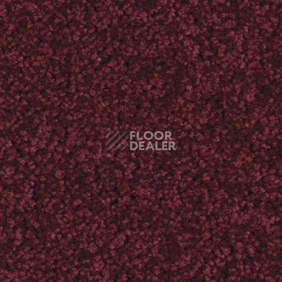 Ковролин Balsan Serenite 590 фото 1 | FLOORDEALER