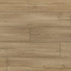 Линолеум Novoflor Extra Mars 2420-1 фото 1 | FLOORDEALER