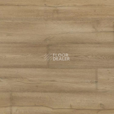 Линолеум Novoflor Extra Mars 2420-1 фото 1 | FLOORDEALER