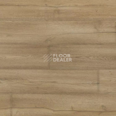 Линолеум Novoflor Extra Mars 2420-1 фото 1 | FLOORDEALER