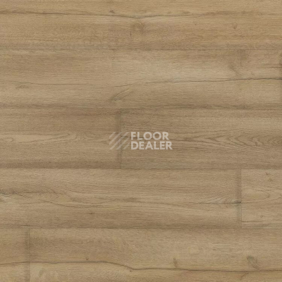 Линолеум Novoflor Extra Mars 2420-1 фото 1 | FLOORDEALER