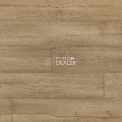 Линолеум Novoflor Extra Mars 2420-1 фото 1 | FLOORDEALER