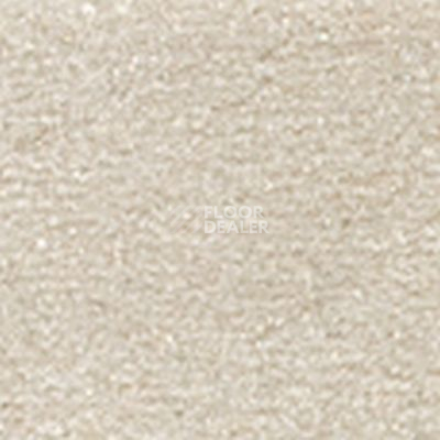 Ковролин Girloon Cronesse 850 фото 1 | FLOORDEALER