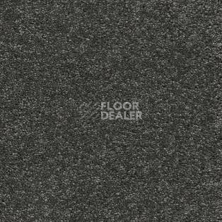 Ковролин AW VivendiI Aaura 97 фото 1 | FLOORDEALER